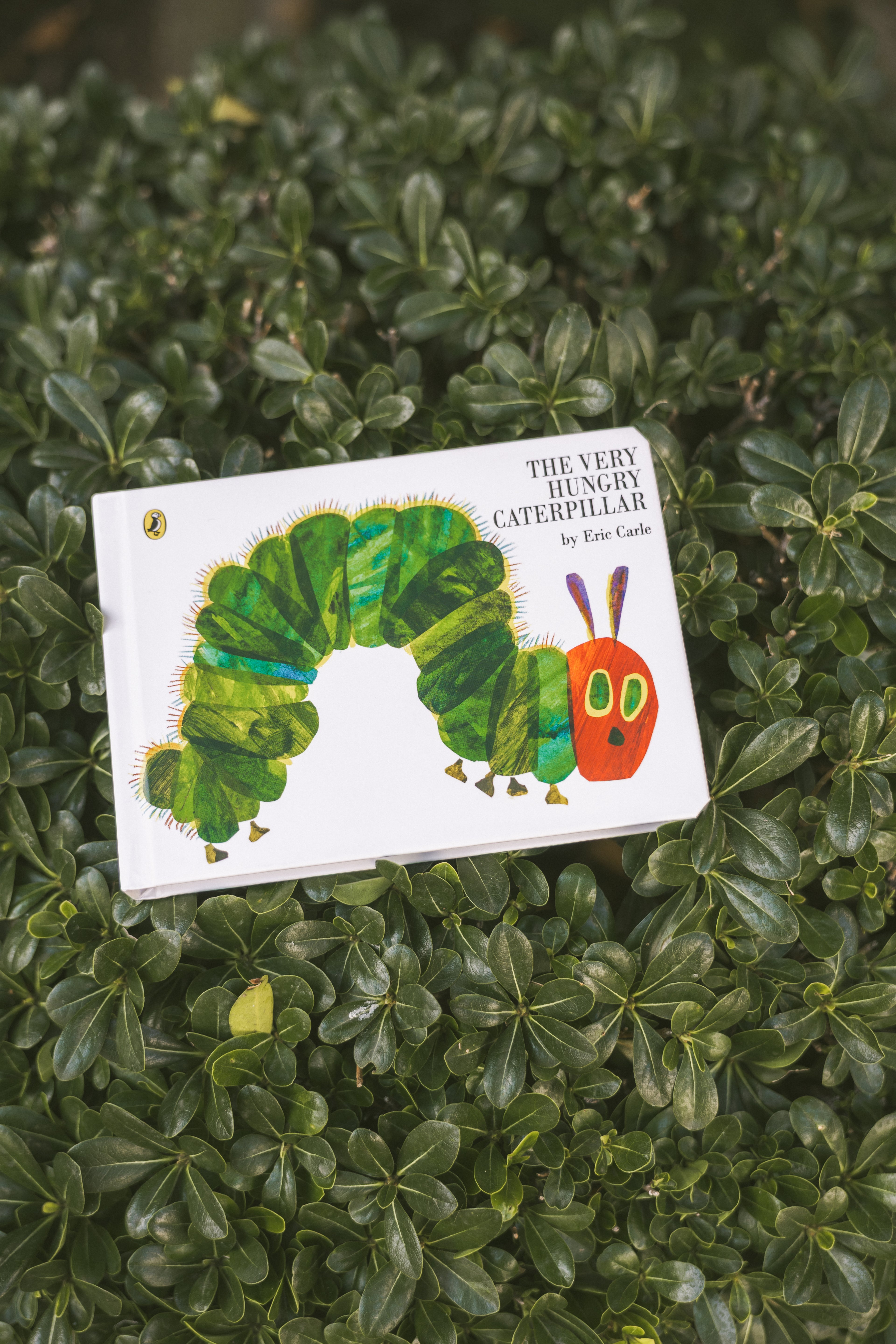 Book Club For Kids: The Very Hungry Caterpillar